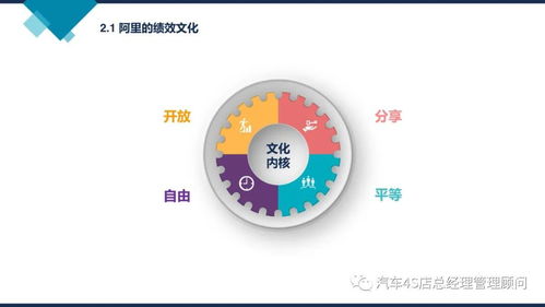 阿里巴巴組織能力建設(shè) 驅(qū)動(dòng)企業(yè)持續(xù)增長的管理新范式