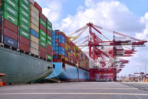 吞吐量之外 山東港口以“新質服務”開辟發展新路