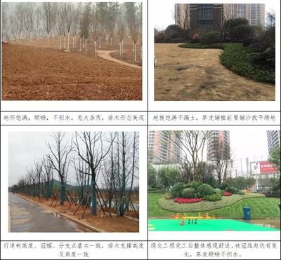 如何打造項(xiàng)目示范段?看看中建五局投資公司怎么做的