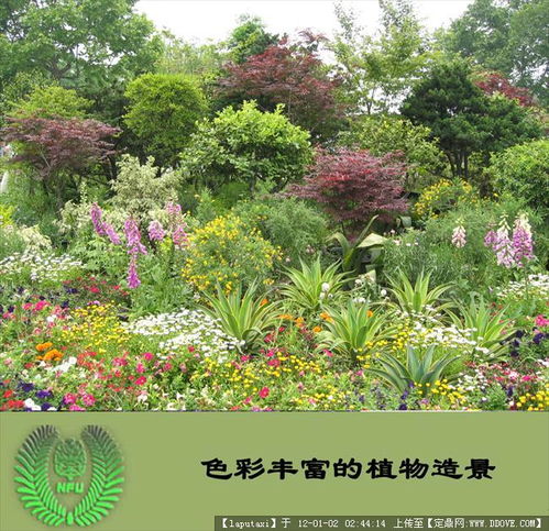 植物配置圖的圖片瀏覽,園林節(jié)點(diǎn)照片,綠化,園林景觀設(shè)計(jì)施工圖紙資料下載