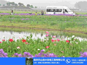 南京巴山洛水 圖 生態(tài)布局指導(dǎo) 南京生態(tài)園