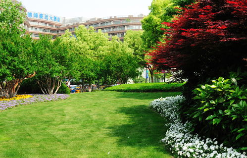 公司參與 園林工程安全文明施工管理規(guī)范 起草