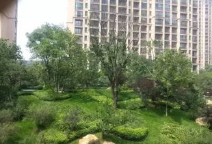 這些園林綠化工程施工技術規(guī)范,值得你花時間學習一下