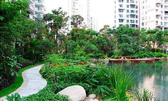 29深圳園林公司的園林綠化理念有哪些 ,29深圳園林公司的園林綠化理念有哪些 生產(chǎn)廠家,29深圳園林公司的園林綠化理念有哪些 價(jià)格