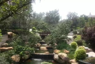 這些園林綠化工程施工技術(shù)規(guī)范,值得你花時間學(xué)習(xí)一下