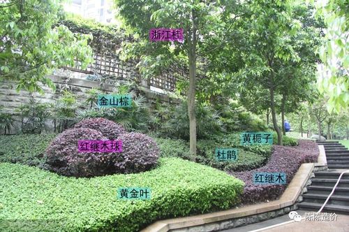 綠化養(yǎng)護(hù)期到底從哪開始計(jì)