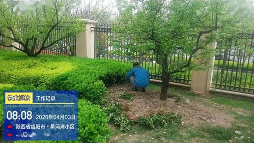 亮點 物業園林綠化整改提升小區環境品質