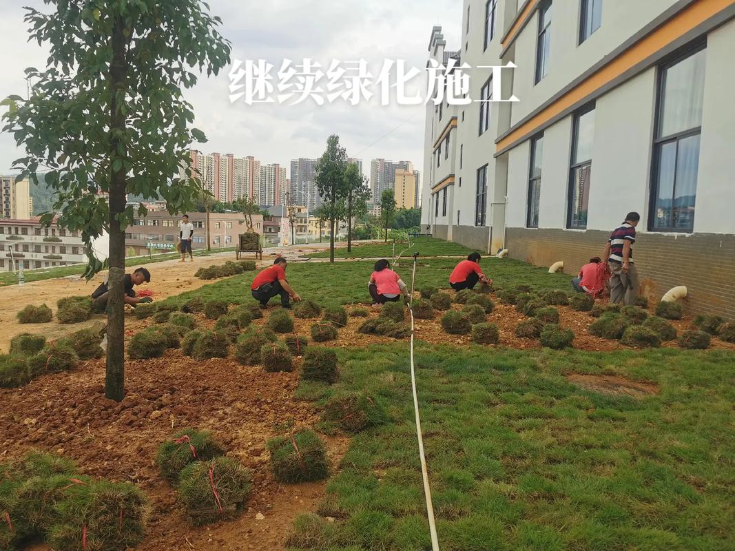 施工現場實拍 #記錄工地上的點點滴滴 #工程人 #園林綠化