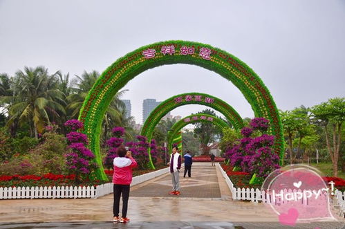 景區景觀五色草真植物雕塑批發價 四川雕塑廠專業定制